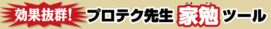 プロテク先生中学生編「DVD版」