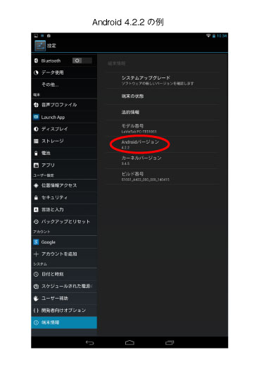tanmatsu